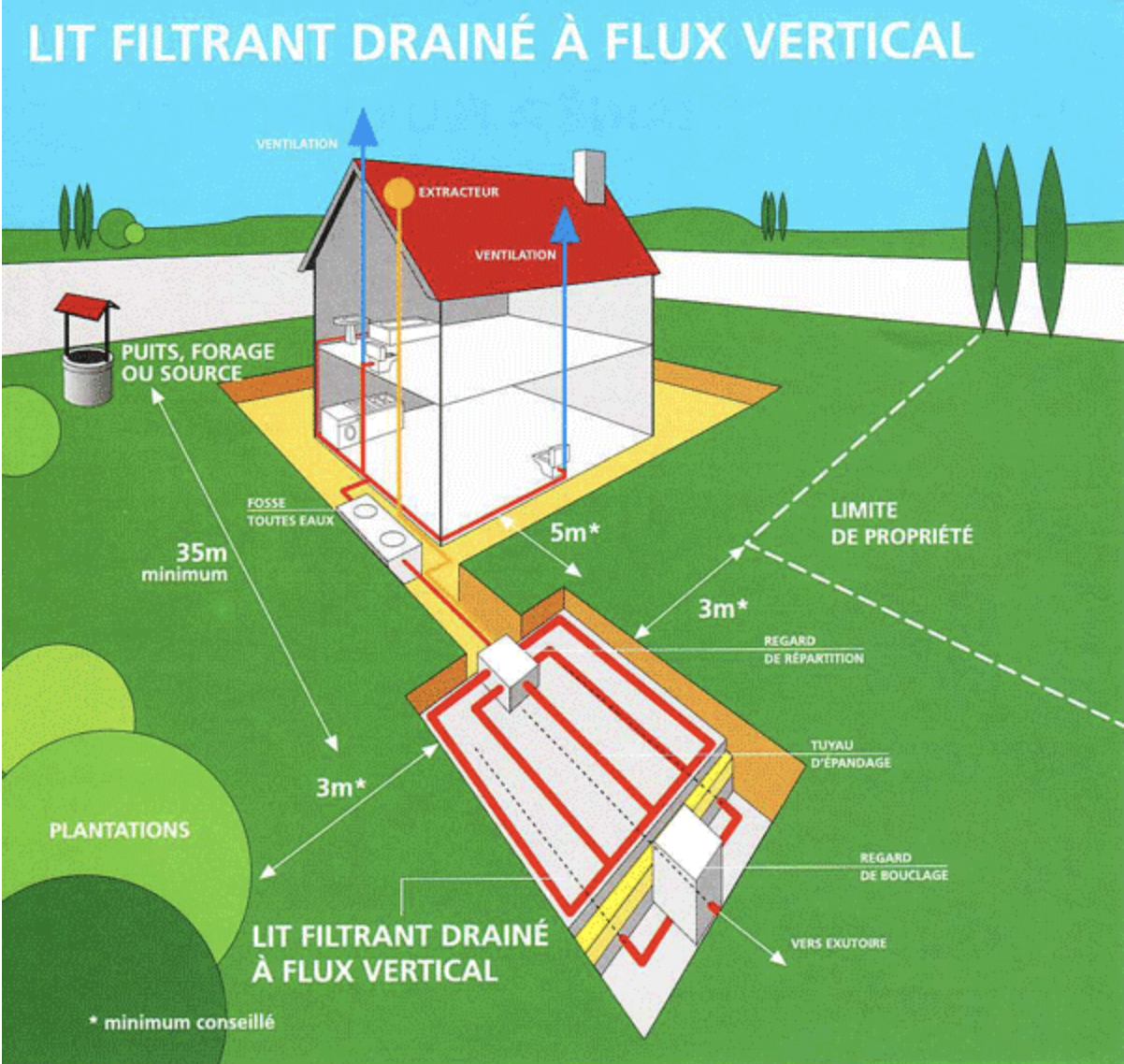 Schéma d'un lit filtrant drainé à flux vertical